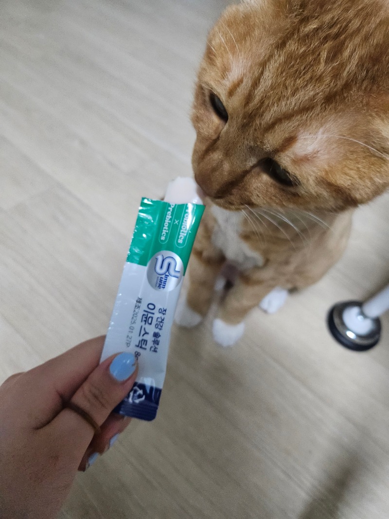 cat1