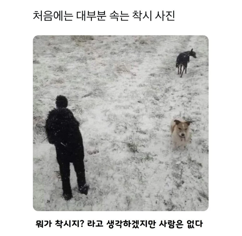 알아채기 힘든 착시