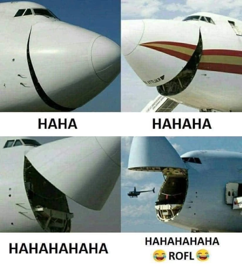하하하하하핳하하하하하핳