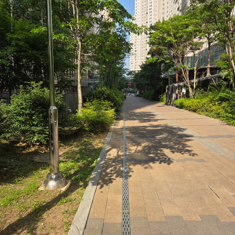 금나래 중앙공원 산책