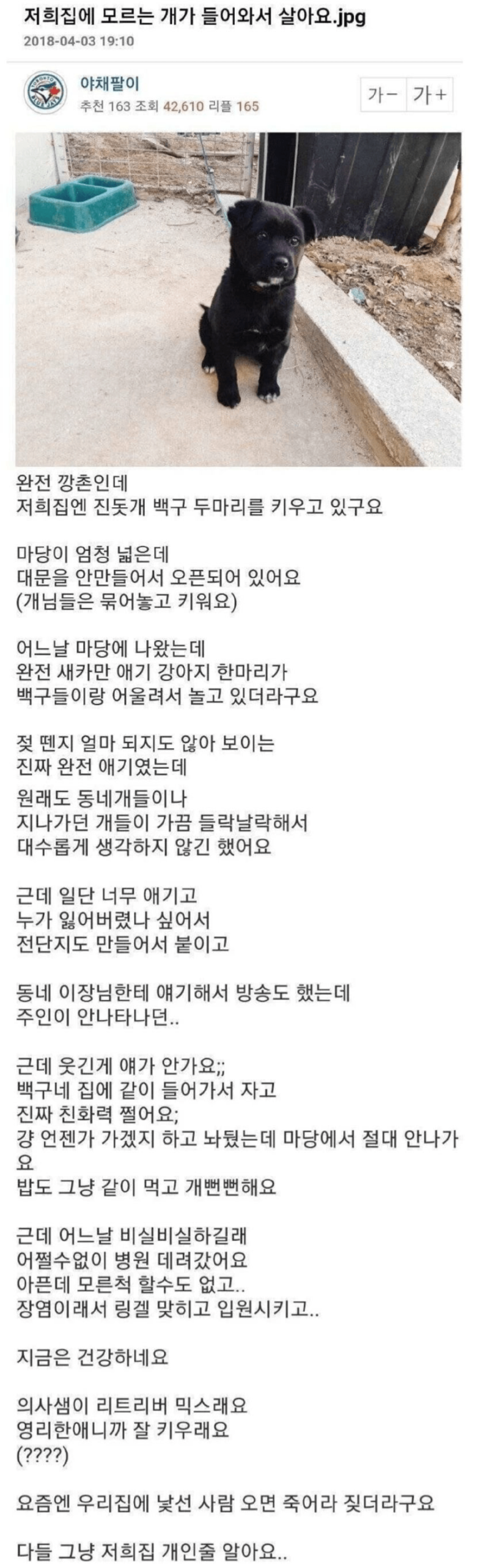 저희집에 모르는 개가 들어와서 살아요...jpg