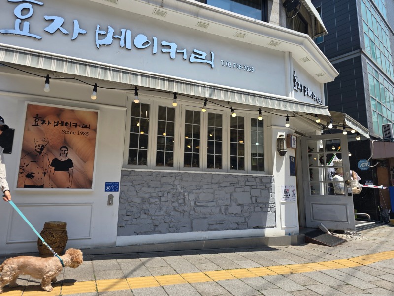 밤톨이와 함께하는 종로 서촌 일대 탐방기!