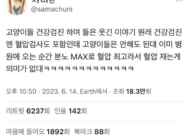 고양이들은 병원 혈압검진이 필요없는 이유