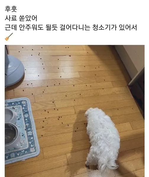 사료 자동 청소기