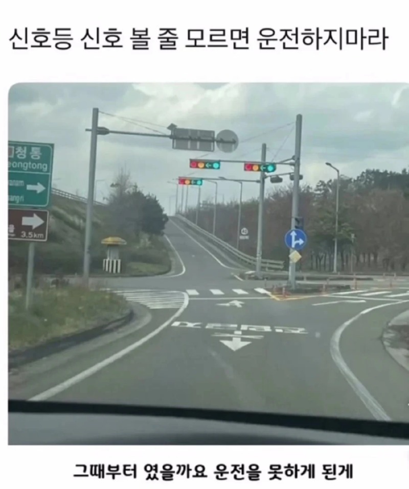 신호등 볼줄 모르면 운전하지마라...