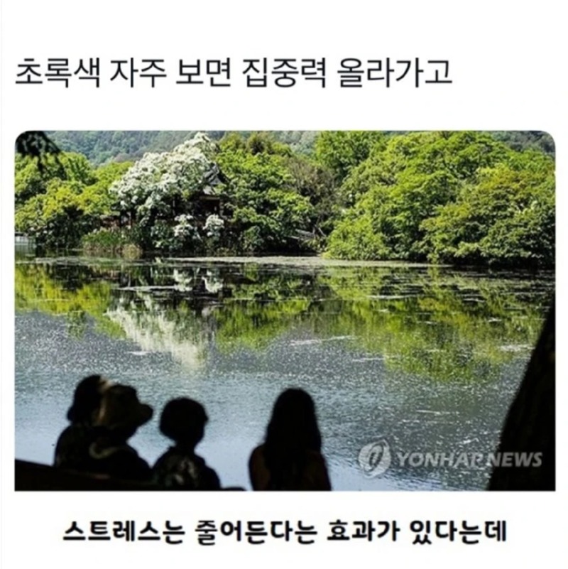 초록색을 자주 보면 집중력이 올라가고 스트레스가 줄어듭니다