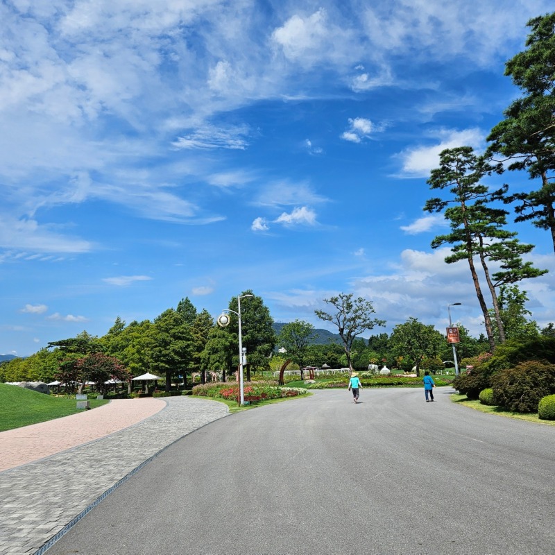 경주 교촌마을 애견동반