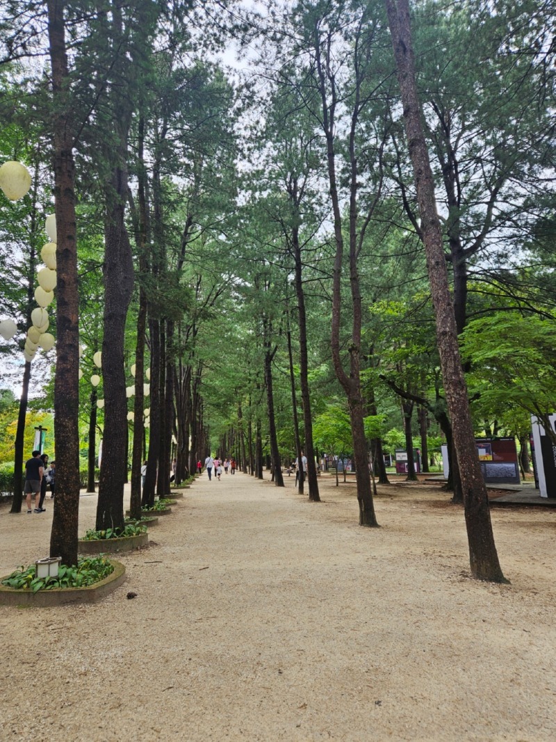 남이섬 애견동반 