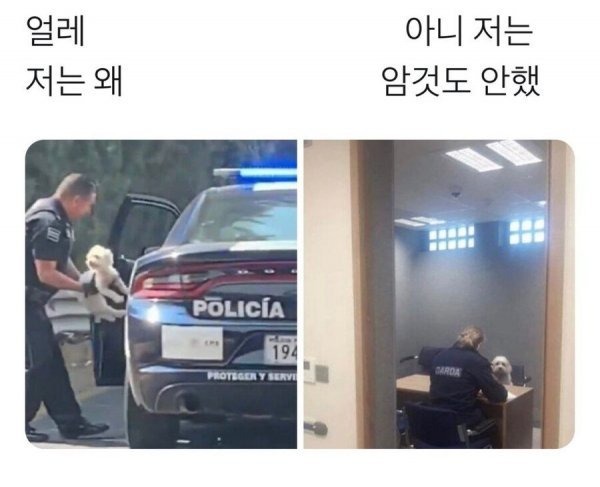 저는 왜 잡아 가시나요... 
