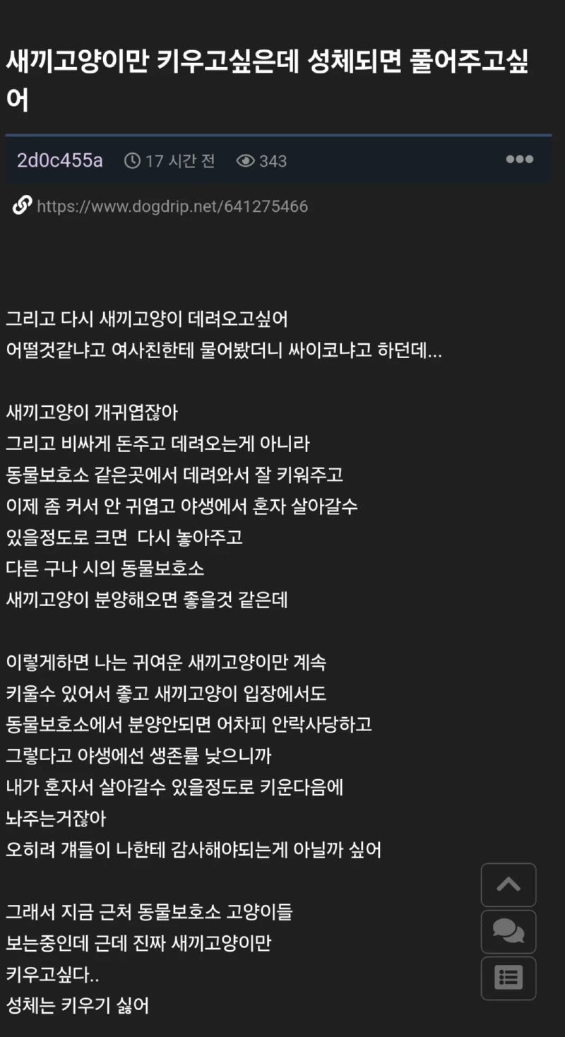 새끼 고양이 데려다 성체되면 버리고 싶다는 나쁜 사람... 