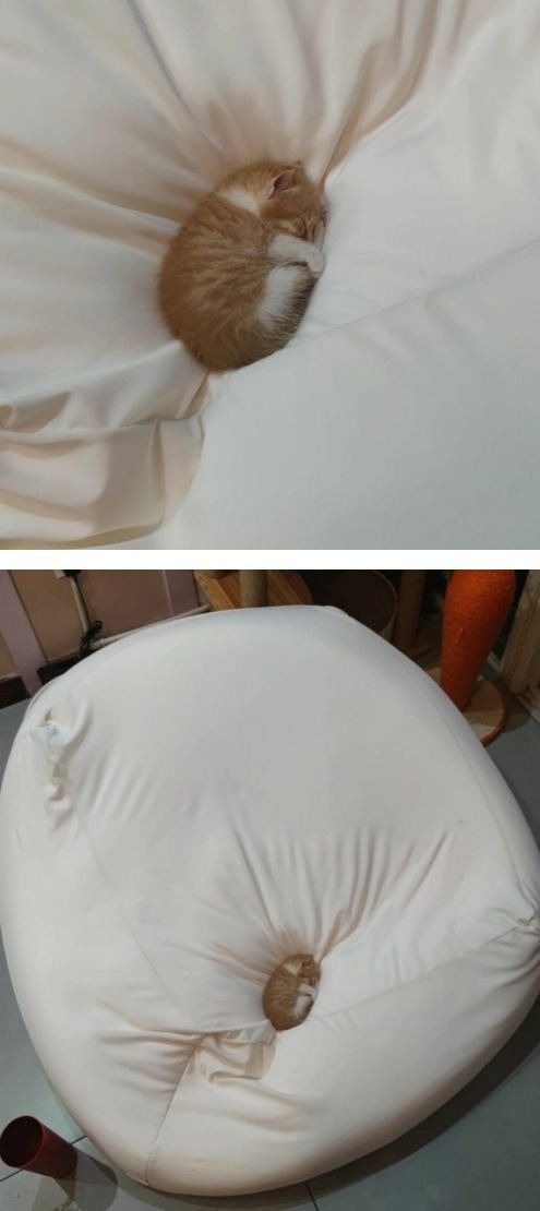 침대를 너무 큰 걸로 샀나?? 