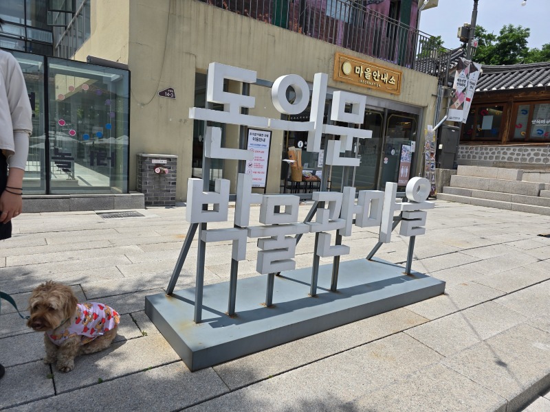 돈의문박물관마을, 반려견과 함께 골목산책~!!