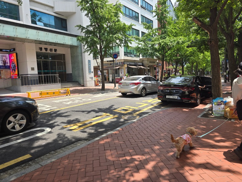 정동길에서 밤톨이와 함께 추억쌓기