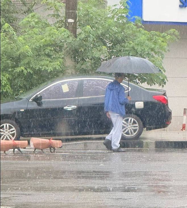 강아지 우비가 너무 귀엽다... 