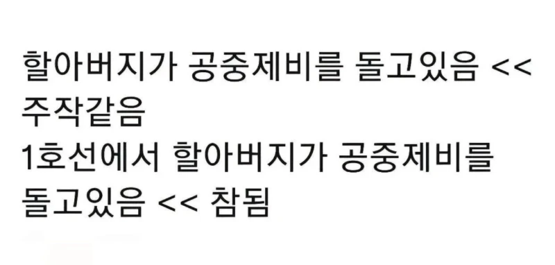  할아버지가 공중제비를 돌고있음 << 주작같음
