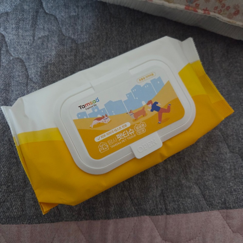 탐사 펫티슈