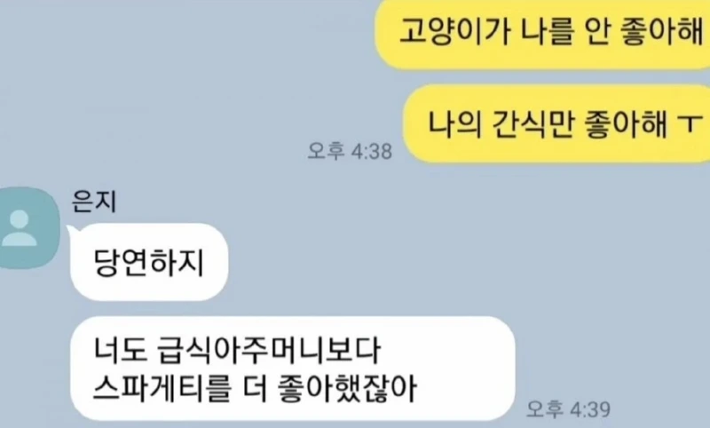 고양이가 나를 안 좋아해ㅠㅠ