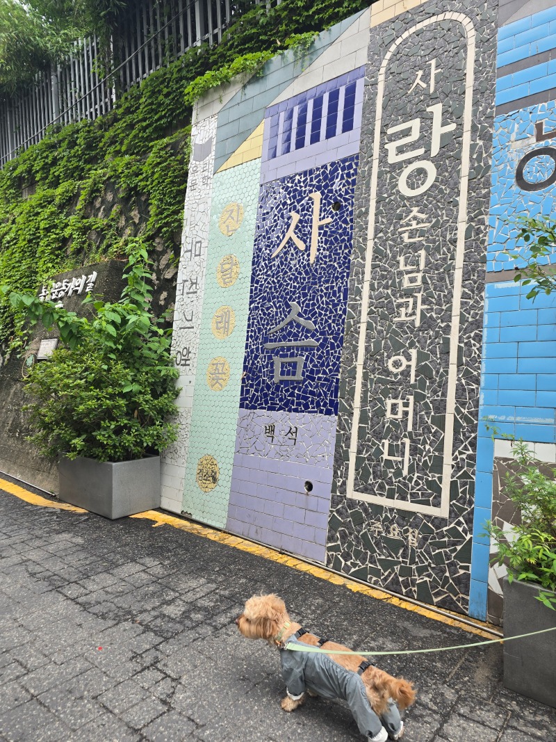 삼청동거리 거니는 힙한 밤톨이!