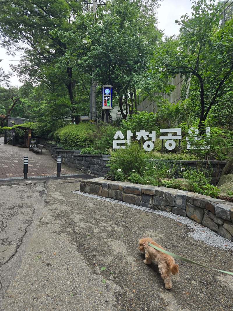 삼청공원, 남녀노소견 모두 공존하는 힐링스팟