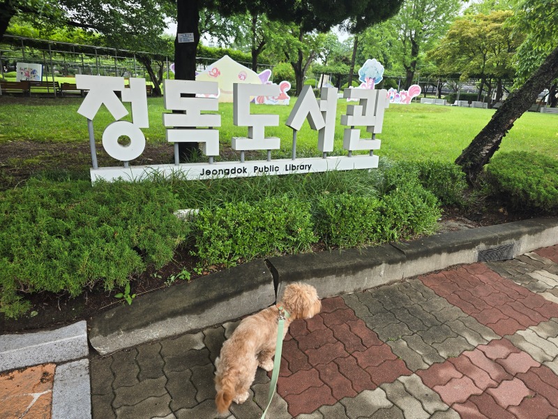정독도서관 정원, 꽃길을 거닐며 산책