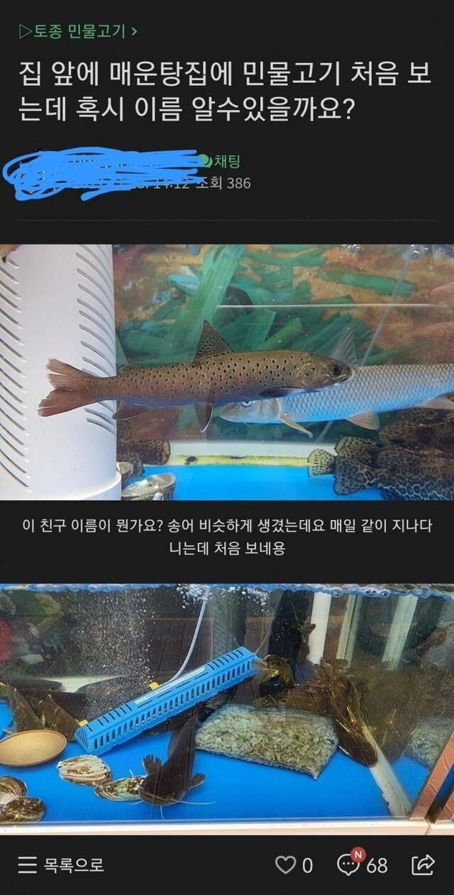  매운탕집에서 발견된 물고기 레전드
