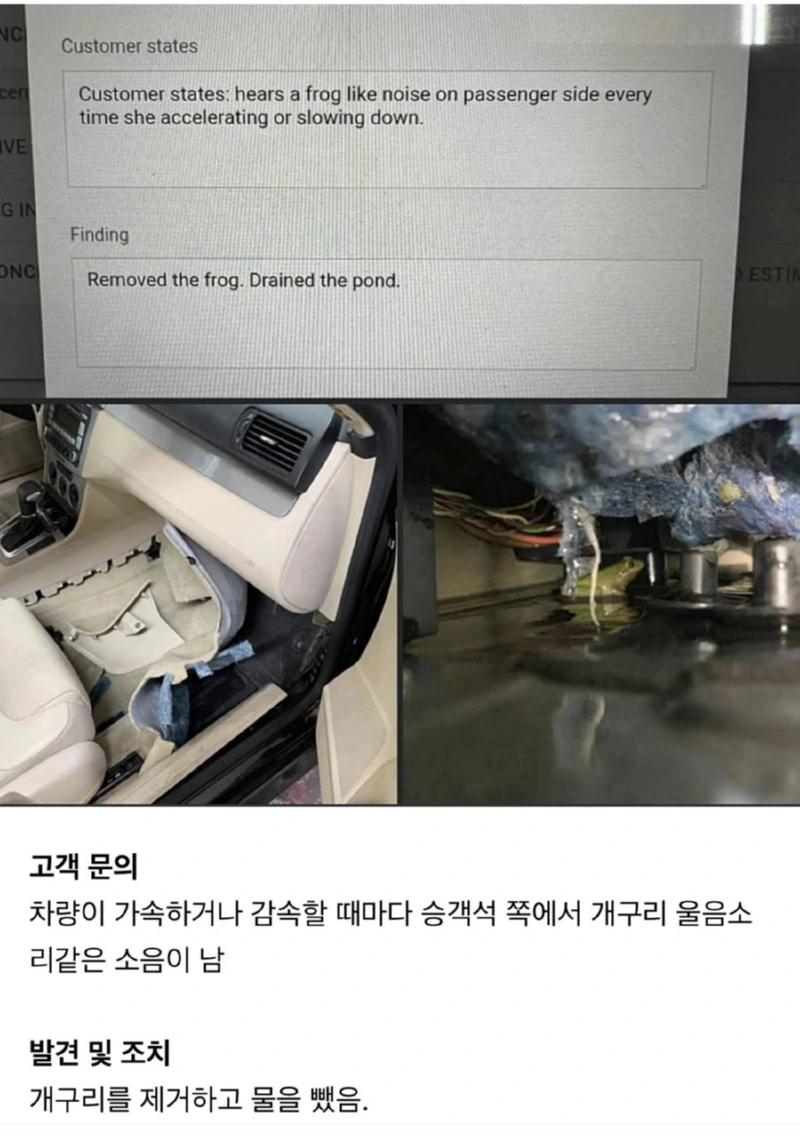 차에서 개구리 소리가 나요.png