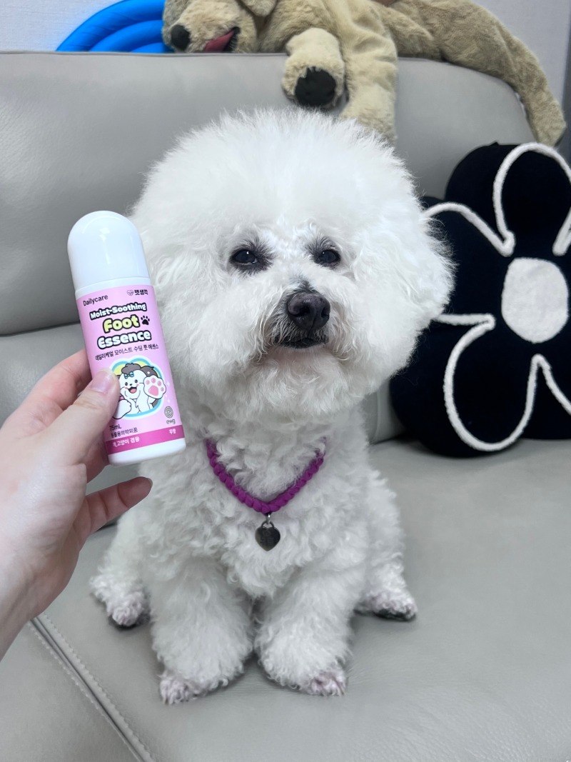펫생각 쿨링 풋 에센스 강아지 고양이 발바닥 밤 보습제 출시했어요~!