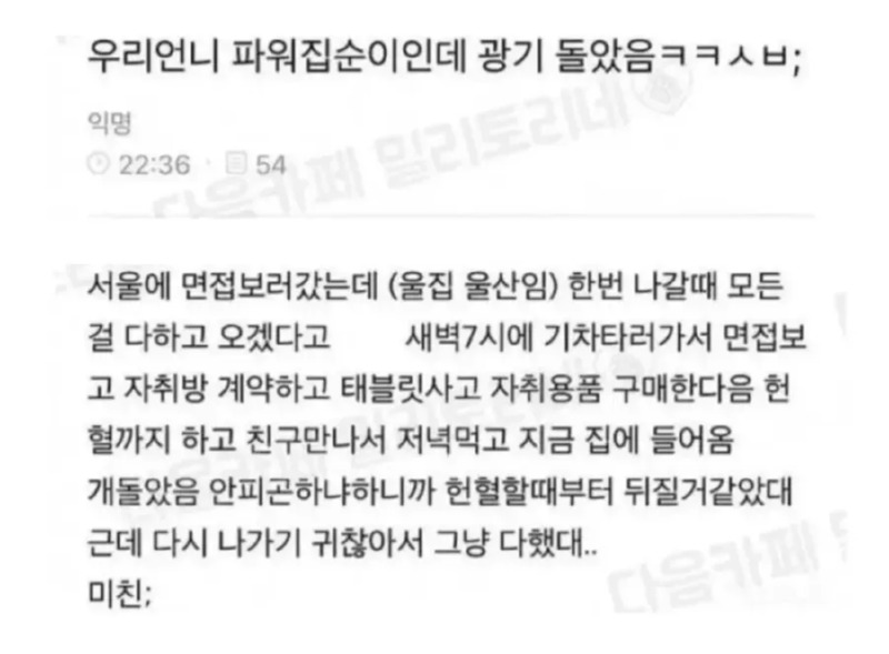 파워 집순이의 광기