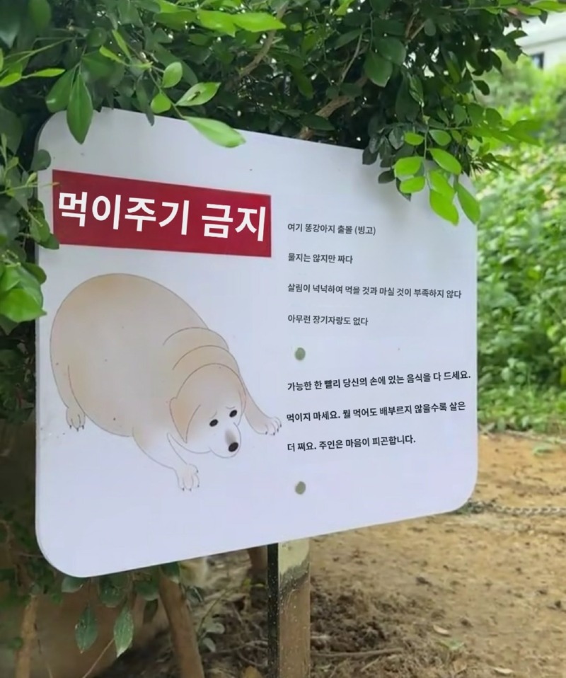 먹이주기 절대 금지!!! 