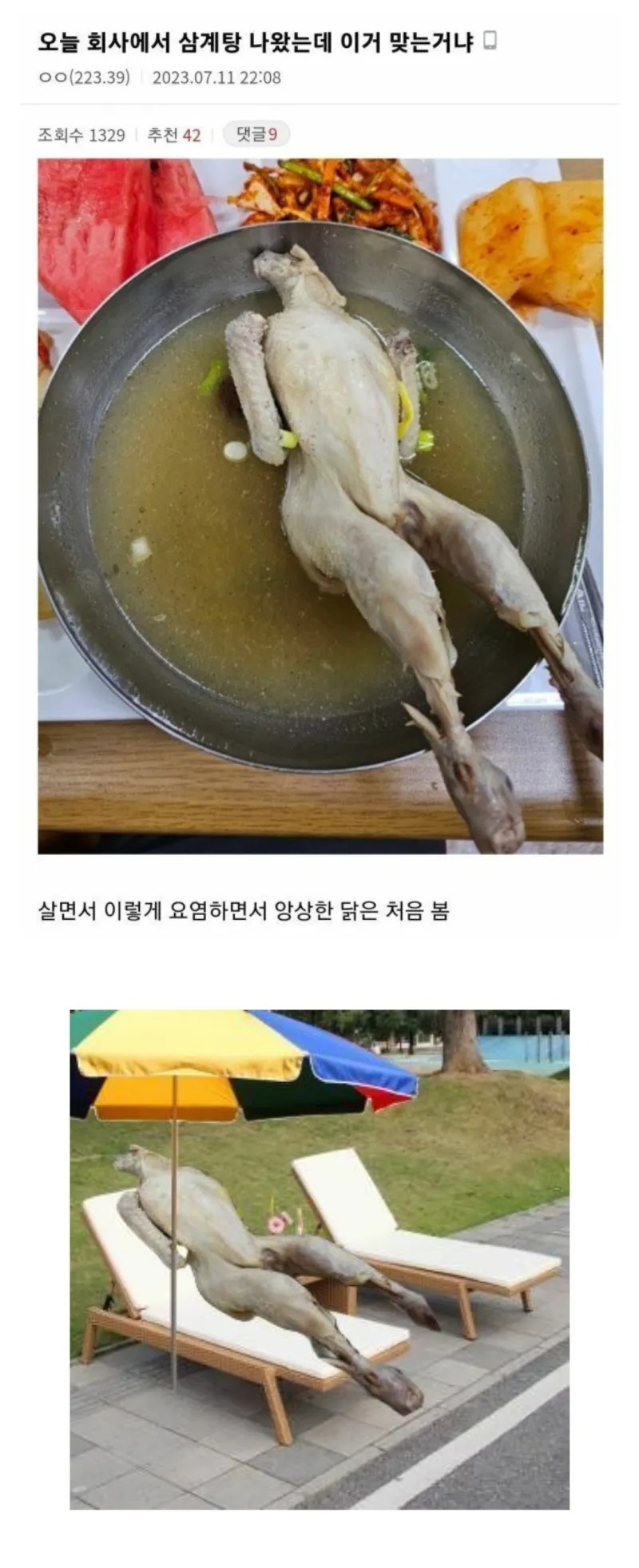 어느 중소기업의 초복