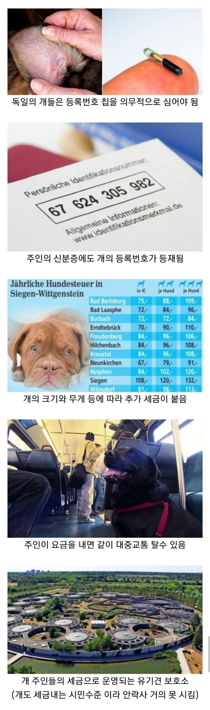 개에게 세금을 부과하는 나라, 독일!jpg