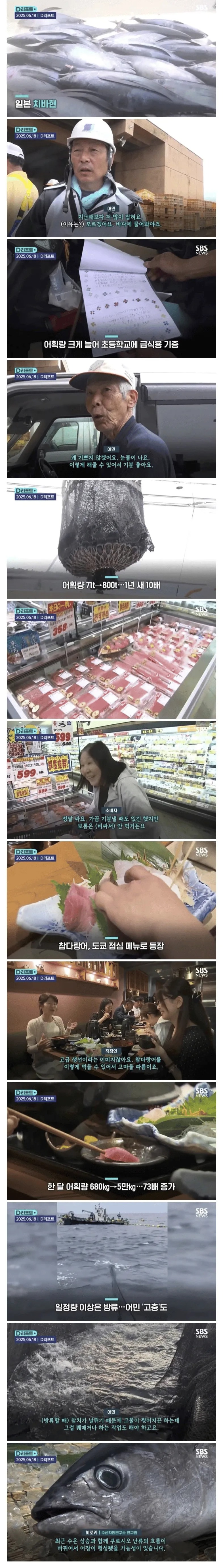 최근 일본에서 잡혀도 너무 많이 잡힌다는 생선