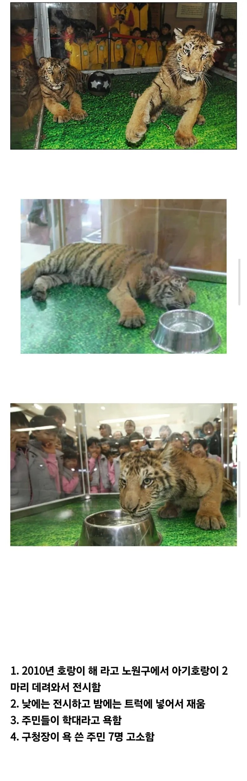 어질어질 노원구청 레전드 사건