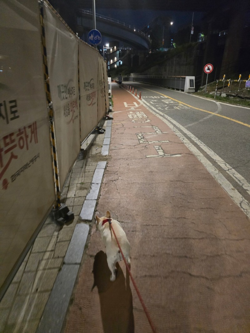 이촌한강공원 산책 