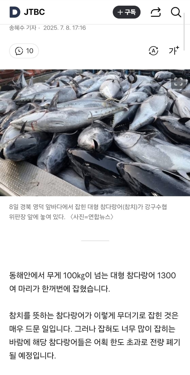 참다랑어 1,300마리 대박…그러나 잡아서 