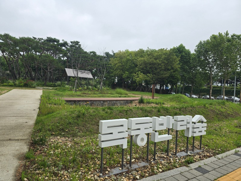목동반려숲, 서울한복판에 애견운동장이!?