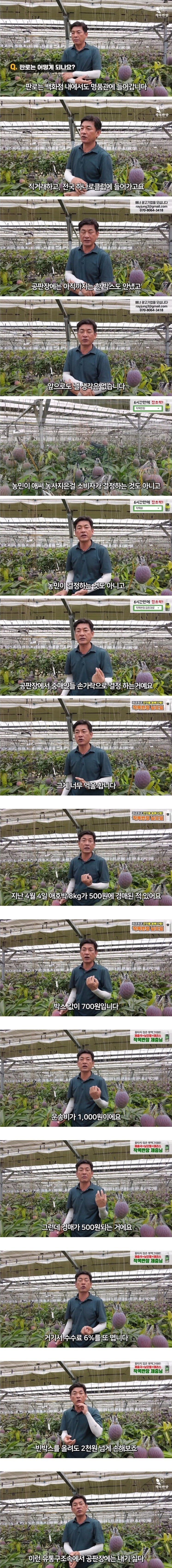 경매 공판장엔 납품 안 한다는 사장님