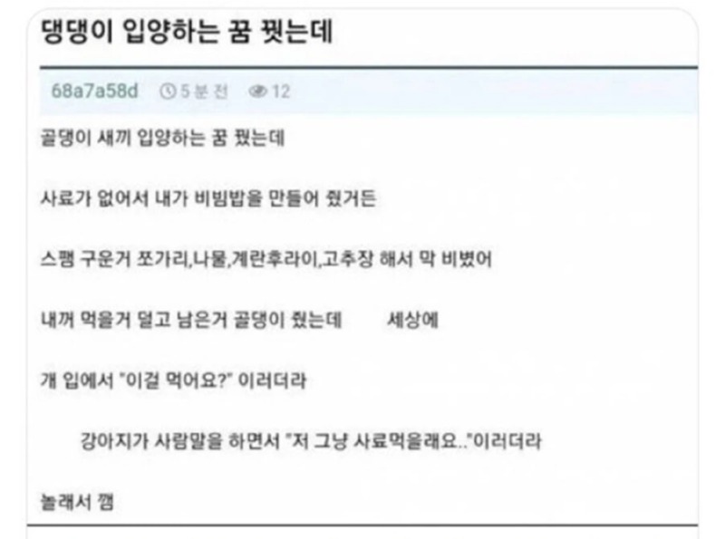 댕댕이 입양하는 꿈을 꾼 사람