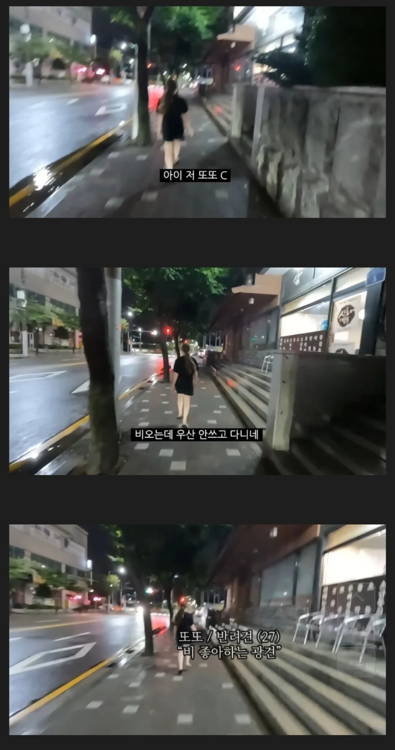 서양 인들이 우산 안 쓰는 합리적인 이유