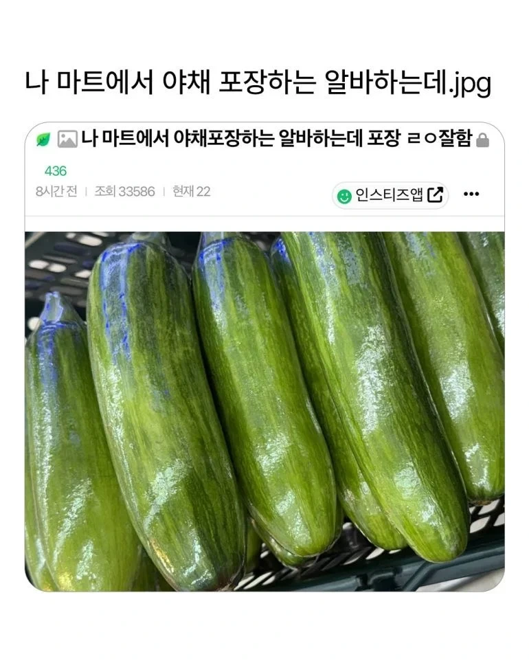 개쩌는 마트 알바