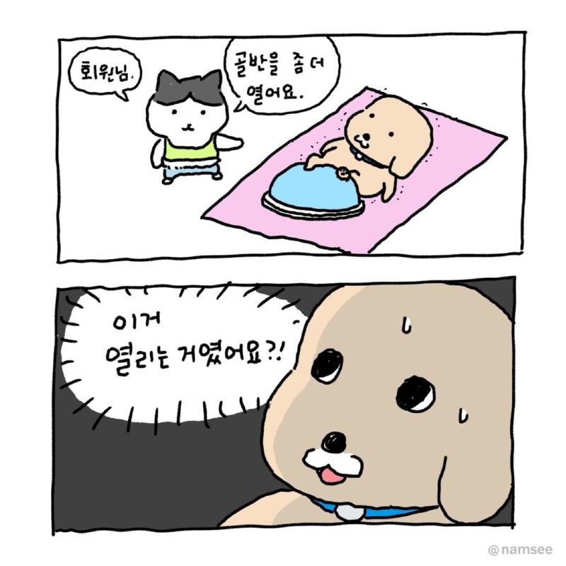 공포의 필라테스.namsee