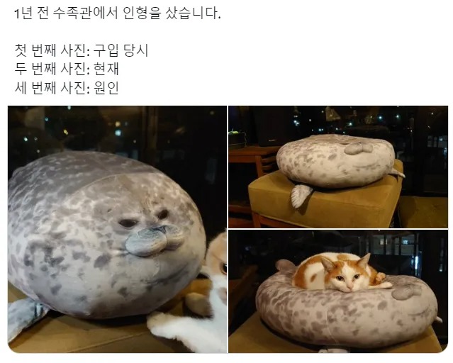 1년전 수족관에서 인형을 샀습니다