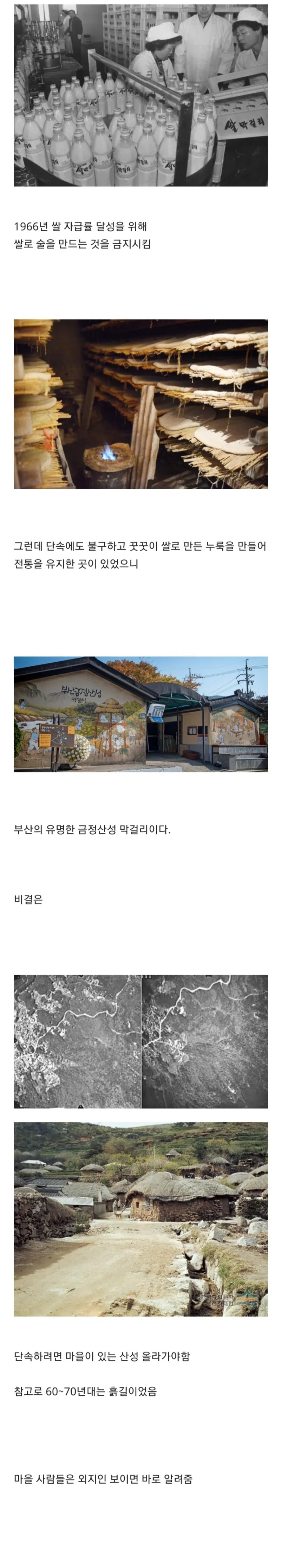 쌀 막걸리가 불법이던 시절 양조장의 생존법