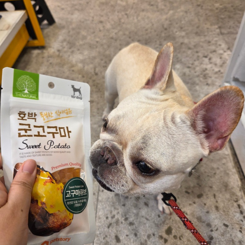 더 내추럴 호박군고구마