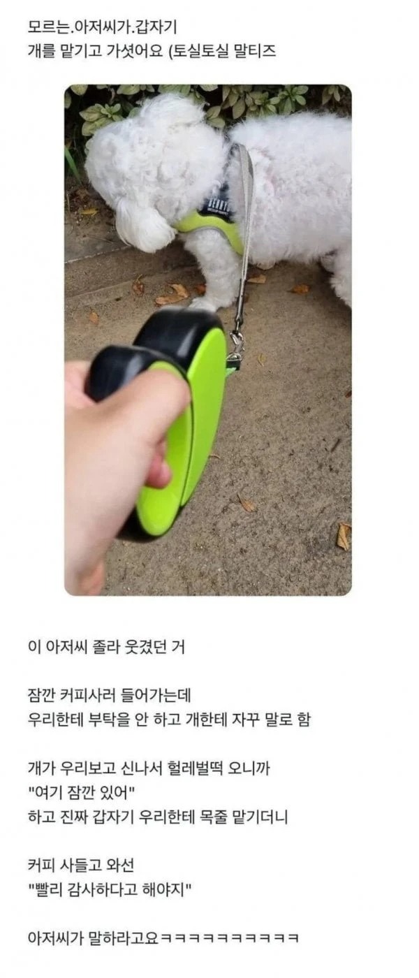 모르는 아저씨가 갑자기 개를 맡기고....