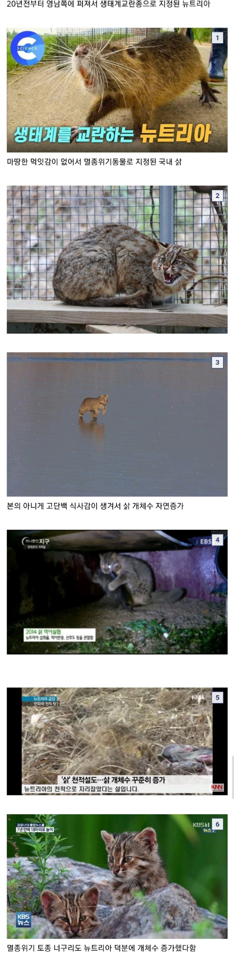 멸종위기 동물의 개체수가 증가한 이유