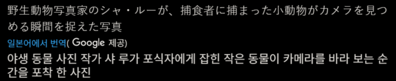 야생 동물 사진 작가가 포착한 포식자와 피식자