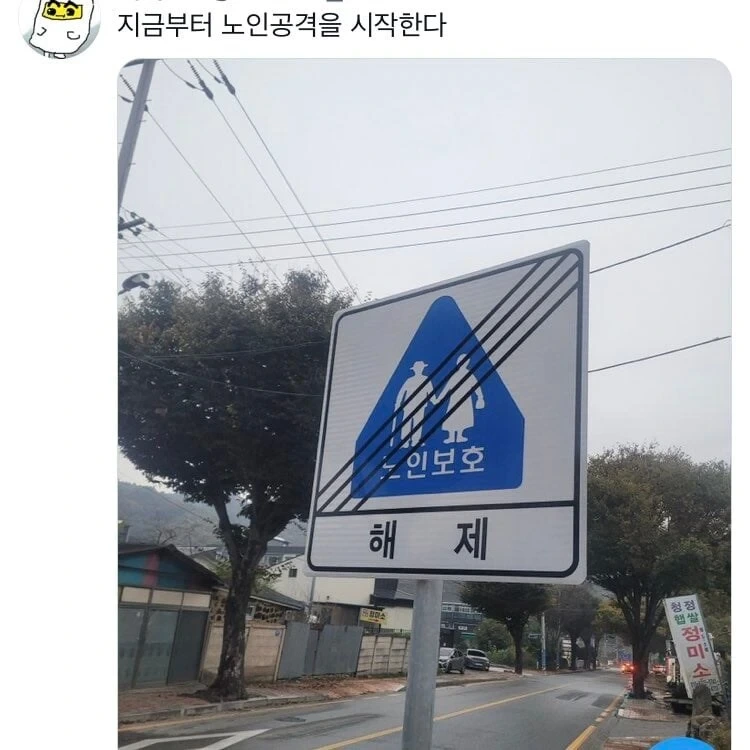 노인 보호 해제