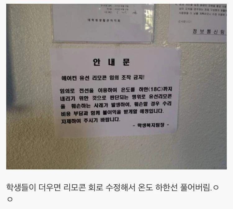 여름에 카이스트에서 벌어지는 일