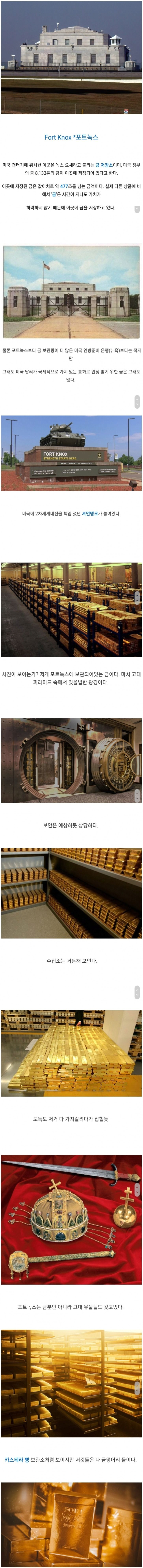 미국 금 저장소 스케일 